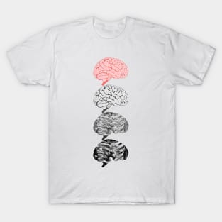 Dark Matter = Grey Matter T-Shirt